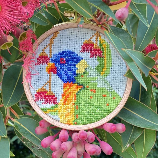Lorikeet